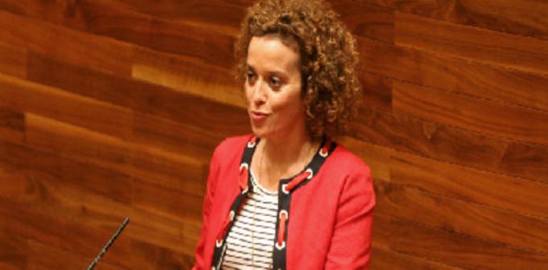 Marina Huerta: “Que el PSOE pida ahora la eliminación de la Viceconsejería de R.I. es hipocresía política"”  