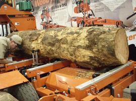 México destina 3.2 millones de hectáreas al aprovechamiento maderable