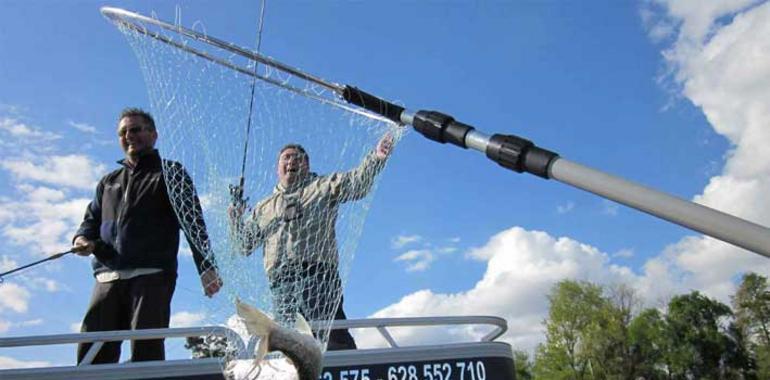 Una empresa organiza jornadas de pesca en el Río Miño caña en mano