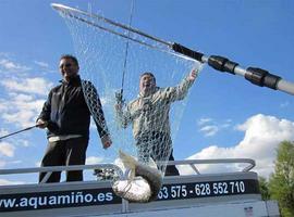 Una empresa organiza jornadas de pesca en el Río Miño \caña en mano\