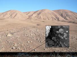 Descubren un oasis microbiano bajo el desierto de Atacama