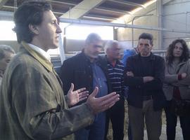 Las mejoras en el cebadero de Quirós permitirán incrementar la capacidad hasta los 600 terneros al año