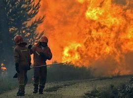 Más de 300 efectivos y medios aéreos luchan contra decenas de incendios forestales en Asturias