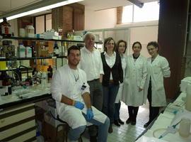 Estudian las setas y plantas medicinales de Portugal