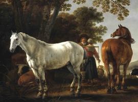 resuelto el misterio de la domesticación del caballo 