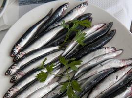 La sobreexplotación generalizada pone en peligro los stocks pesqueros en la UE