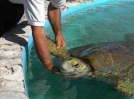 Evo Morales participa en liberación de tortugas en ríos de Pando 