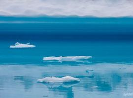  #SalvaElArtico para proteger la última frontera del planeta del petróleo y la sobrepesca