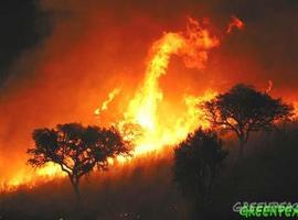 Greenpeace advierte del aumento  y virulencia de los incendios forestales debido al cambio climático