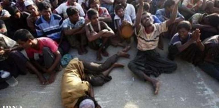 Irans Judiciary condemns genocide of Myanmar Muslims