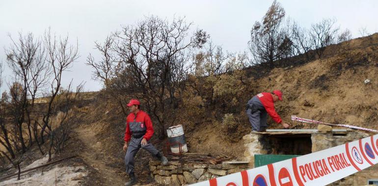La Policía Foral imputa a dos apicultores el origen del incendio de Ujué 
