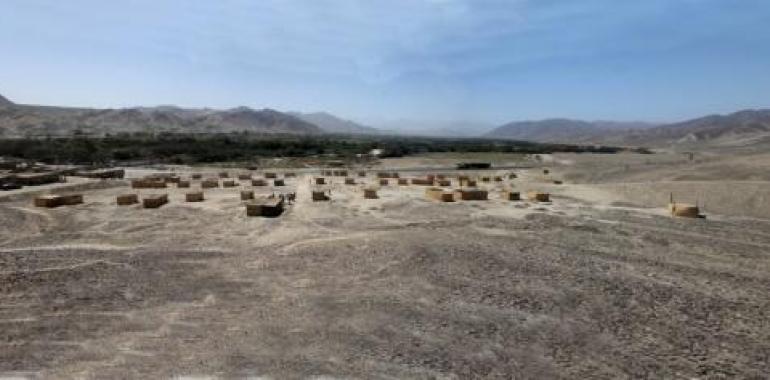 Okupas en las líneas de Nazca