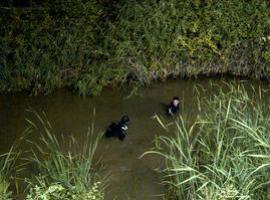 Cuatro jóvenes, tres menores de edad, mueren al caer su coche al canal de La Mejana, en Tudela
