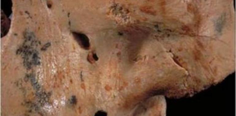 El Homo antecessor se comía a niños de otros grupos para prevenir invasiones