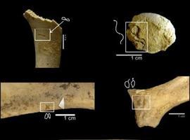 Los hombres prehistóricos alteraban huesos con los dientes sin utilizar herramientas