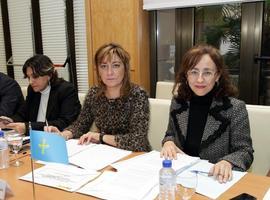 Asturias comparte las líneas generales del Plan Estatal de alquiler y rehabilitación de viviendas