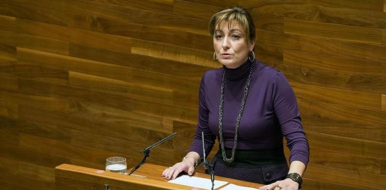 Asturias no tiene pendientes de devolución al Estado cobros por personas dependientes ya fallecidas