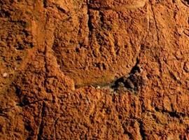 Descubren milenarios petrograbados en Nayarit