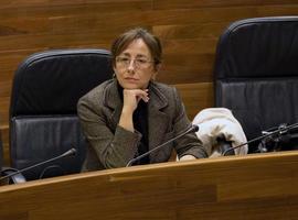 Roces achaca a la Consejería la caída en la licitación de obra pública en Asturias