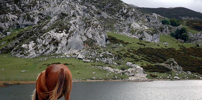 Más de cien empresarios buscan nuevas vías de promoción internacional del turismo asturiano