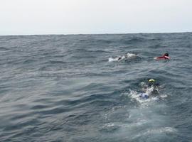 La Armada de México rescata una ballena