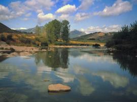 Navarra autoriza la captura de 18 especies en sus ríos