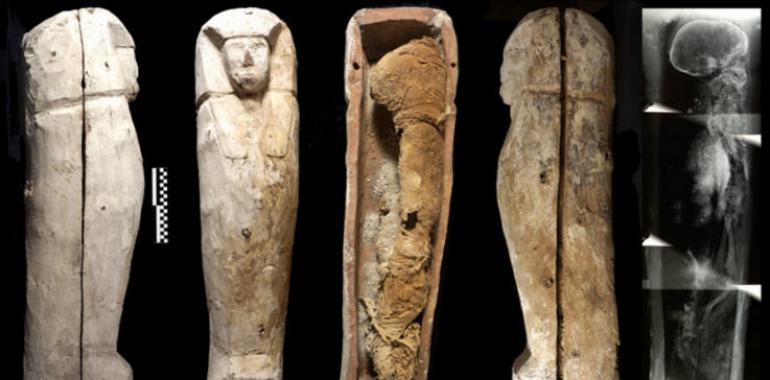 Djehuty descubre importantes testimonios de la dinastía XVII del antiguo Egipto
