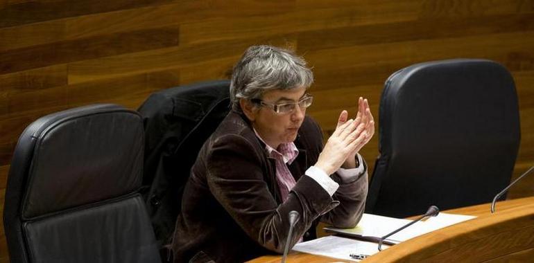 La Inspección Educativa analiza el caso de la menor fallecida en Gijón