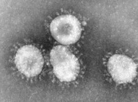 Primer caso confirmado de coronavirus en Francia 