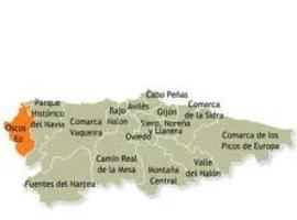 San Martin de Oscos se queda con todo el pueblo de Villarquile