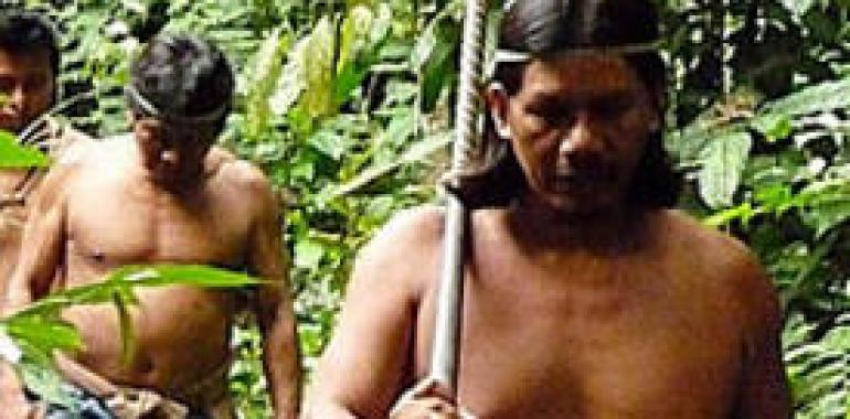 El Gobierno de Ecuador intentó evitar las matanzas entre tribus amazónicas waorani y taromenane