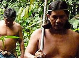 El Gobierno de Ecuador intentó evitar las matanzas entre tribus amazónicas waorani y taromenane