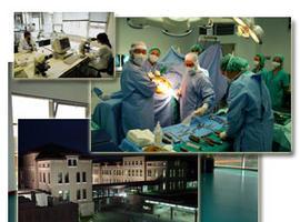 Primera reunión de cirujanos, clínicos e investigadores básicos en torno a la patología de la aorta 