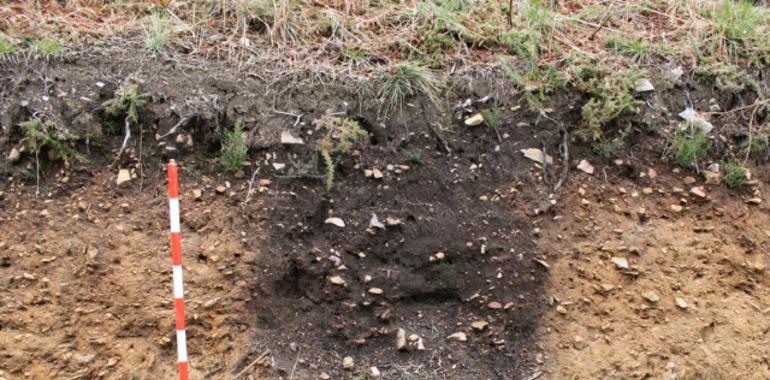 Inician excavación en Almoñu (Ayande)