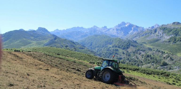 Limpieza de cutis en la vertiente asturiana del Parque Nacional Picos de Europa
