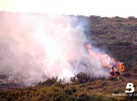 Estabilizado y sin llama el incendio forestal que afecta a los ayuntamientos de Quiroga y Larouco