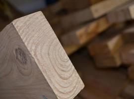 Certifican que el Castaño, la madera noble de los astures, es idóneo para la construcción