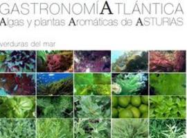 Algas y plantas aromáticas, protagonistas de un curso sobre Gastronomía en Botánico