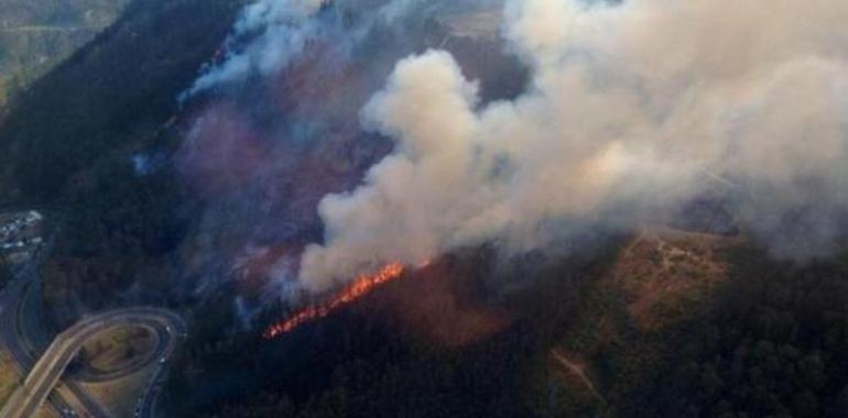 Un dantesco incendio forestal  provocado arrasa el Pulmón Verde de Quito