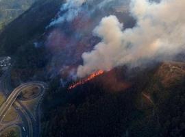 Un dantesco incendio forestal  provocado arrasa el Pulmón Verde de Quito