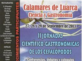 Ciencia y gastronomía de los cefalópodos en Luarca