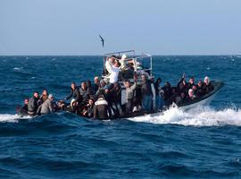 Lampedusa tragedy: MEPs call for solidarity and EU policy for legal migration