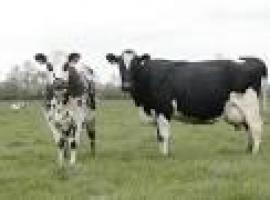 883.014 euros  para la ejecución de programas de agricultura y ganadería en Asturias