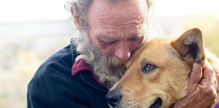 Milagro de Navidad: Las donaciones salvan la vida del perro atropellado de un indigente  