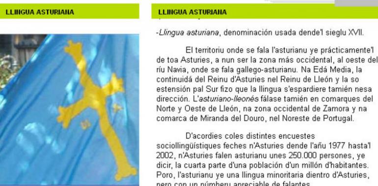 Cultura traduxo 1.727 documentos al asturianu y gallego-asturianu mientres lañu 2013