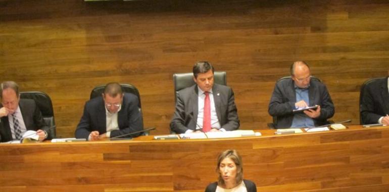 El PP pide al Ejecutivo asturiano actuar "con valentía y sin más demoras" para reducir la Administración