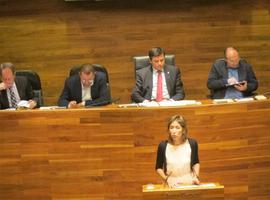 El PP pide al Ejecutivo asturiano actuar \"con valentía y sin más demoras\" para reducir la Administración