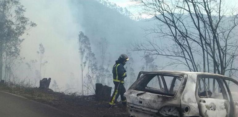 Un hombre de 86 años muere tras salir de la vía e incendiarse su vehículo en Brieves, Valdés