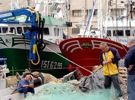 La renta del sector pesquero aumentó un 4,46% en 2012 hasta un total de 805,1 millones de euros