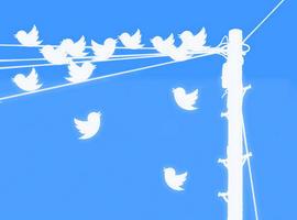 Las opiniones dominantes en Twitter oponen gran resistencia al cambio